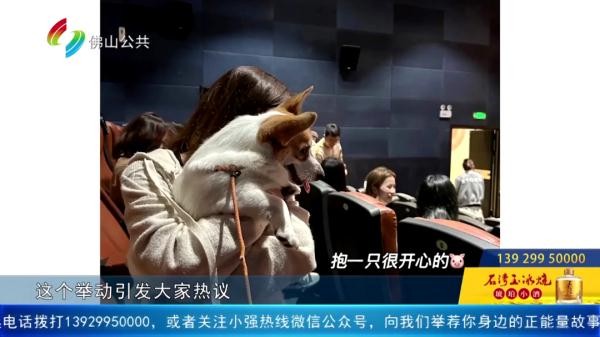 多地推出携犬观影佛山有吗街坊最关心的问题是……