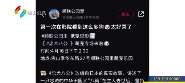 多地推出携犬观影佛山有吗街坊最关心的问题是……