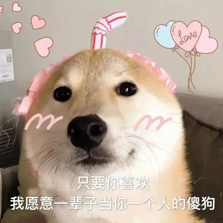 狗狗也会偏心！对认定的主人它有不同的行为