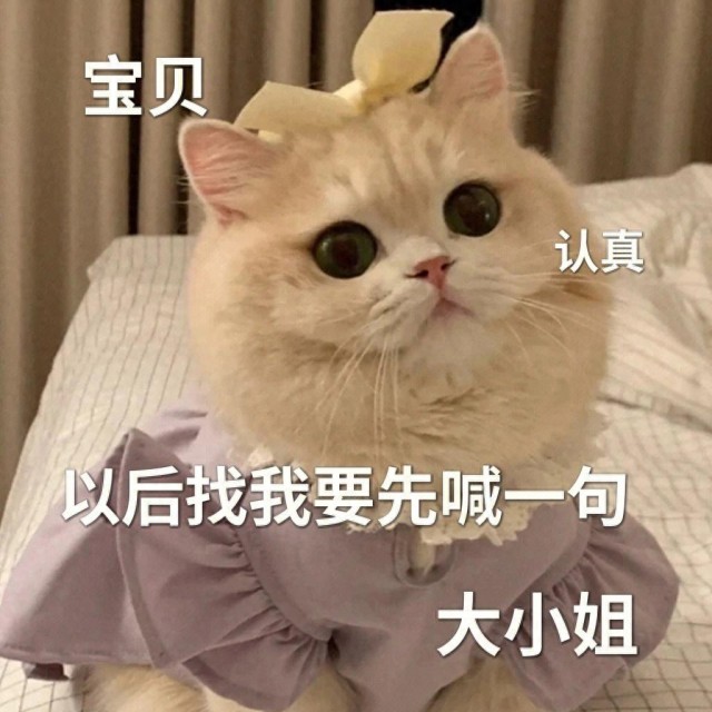 长时间养猫的人和不养猫的人，谁的身体更好？结果出乎意料！